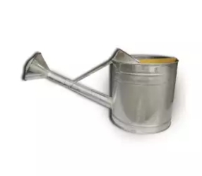 บัวสังกะสีจิ๋ว4L