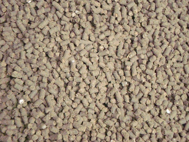 1/KG924ไก่ไข่