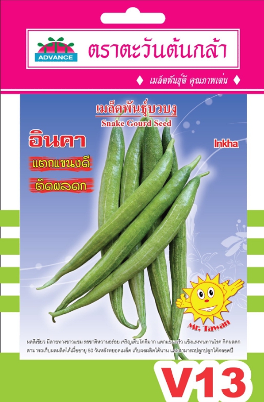 บวบงูอินคาAV(V13)