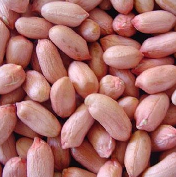 ถั่วลิสง500G