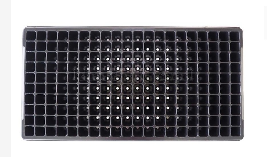 ถาดเพาะ200หลุมเรือใบ*100