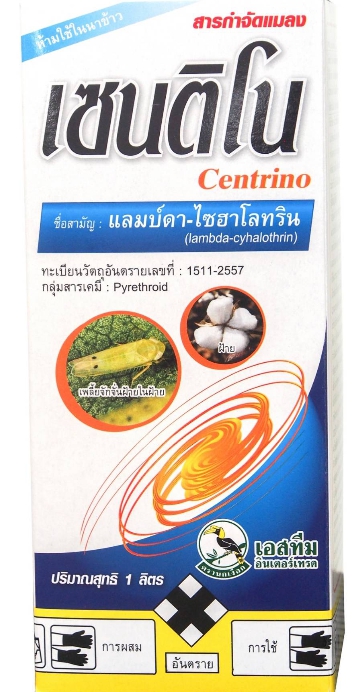 เซนติโน นกเงือก1L*12