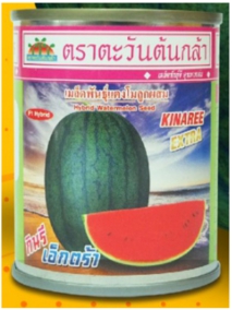 กินรีเอ็กตร้าแตงโมAV40G