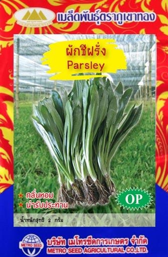 ชีฝรั่ง ภูเขาทองOP*10