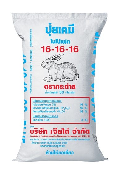 16-16-16บลูกระต่าย