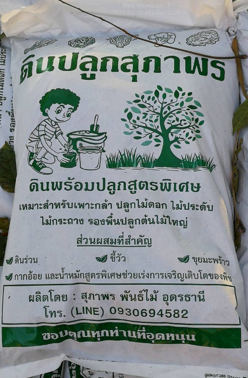 ดินปลูกสุภาพร