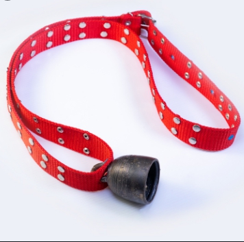 สายคล้องคอสัตว์มีกระดิ่ง