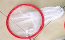 กระชอนตักสัตว์น้ำเนื้อนิ่มใหญ่*50