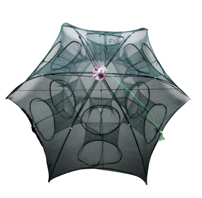 ตข.ดักสัตว์12ช่อง