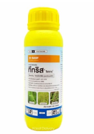 ทีทริส500CC*10