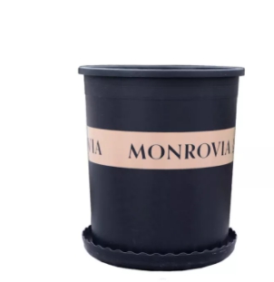 กถ.พลาสติก+จานรอง0.5GL