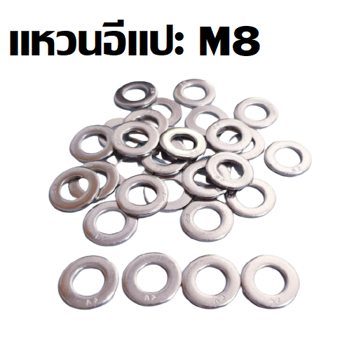 แหวนอีแปะขาว M8