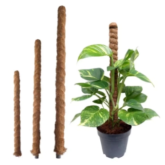 เสาไม้เลื้อย50CM