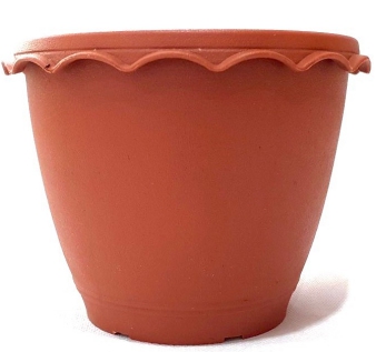 กถ.บัวอิฐ12"