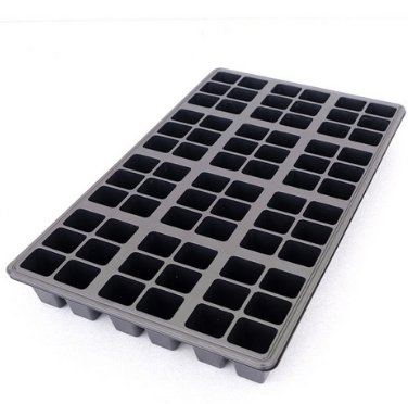 ถาดเพาะ72หลุม*100