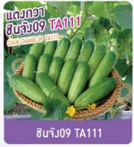 ชินจังแตงกวาTA111