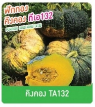 คิงคองฟักทองTA132