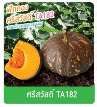 ศรีสวัสดิ์ฟักทองTA182