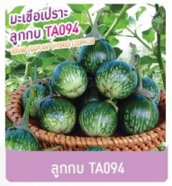 ลูกกบมะเขือเปราะTA094