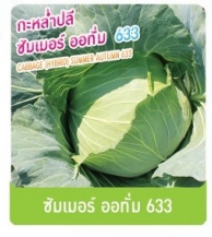 ซัมเมอร์ออทั่มกระหล่ำปลี633