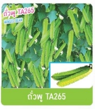 ถั่วพูTA265