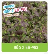 สปีด2กระเพราEB-983