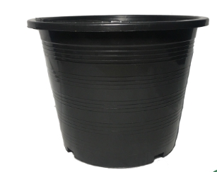 กถ.คละสี 8"