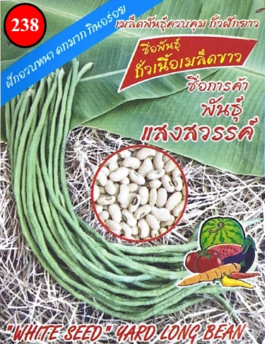 ถั่วฝักยาวแสงสวรรค์333
