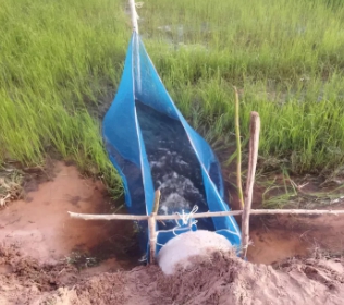 โต่งดักปลา#4