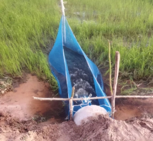 โต่งดักปลา#10 