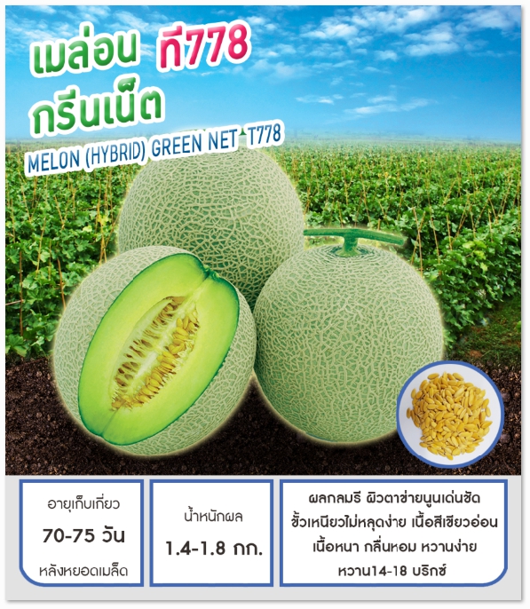 กรีนเน็ตT778เมล่อนเพื่อนเกษตร