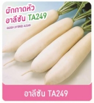 อาลีซันTA249ผักกาดหัวเพื่อนเกษตร
