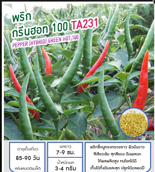 กรีนฮอท100 TA231พริกเพื่อนเกษตร