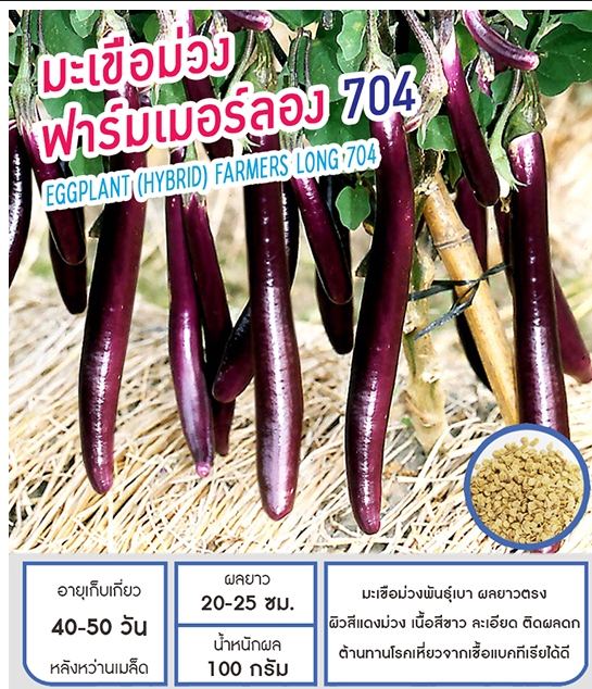 ฟาร์มเมอร์ลอง704มะเขือม่วงเพื่อนเกษตร