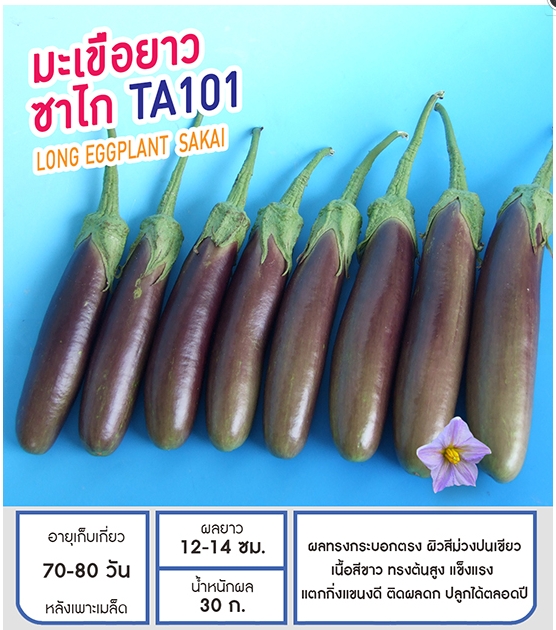 ซาโกTA101มะเขือยาวเพื่อนเกษตร