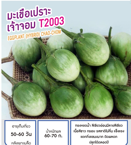 เจ้าจอมT2003มะเขือเปราะเพื่อนเกษตร