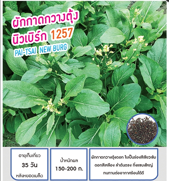 นิวเบิร์ก1257ผักกาดกวางตุ้งเพื่อนเกษตร
