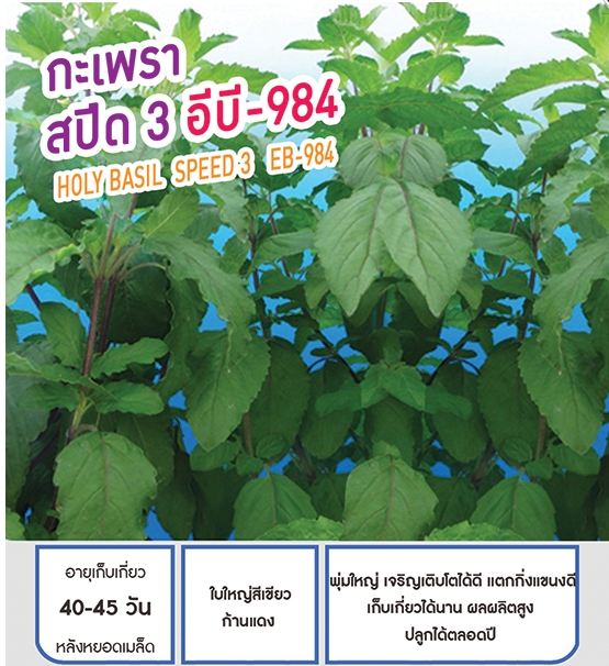 สปีด3EB-984กะเพราเพื่อนเกษตร