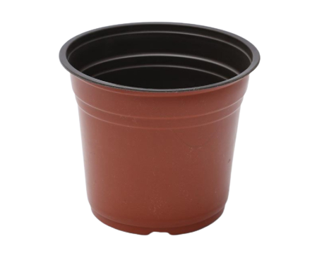 กถ.เนื้อบางอิฐ 3"