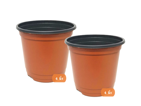 กถ.เนื้อบางอิฐ 4"