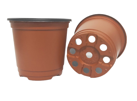 กถ.เนื้อบางอิฐ5"