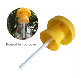 อปก.ดักแมลง