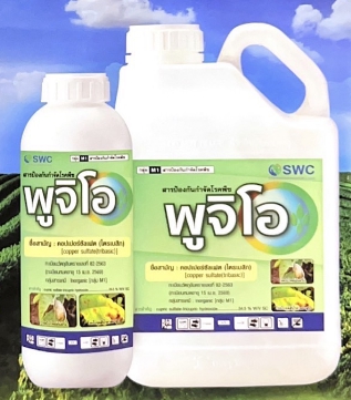 พูจิโอ500CC*24