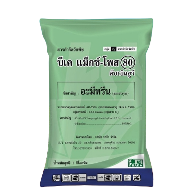 (ลังX12)บีเค แม็กซ์โพสต์ 1KG