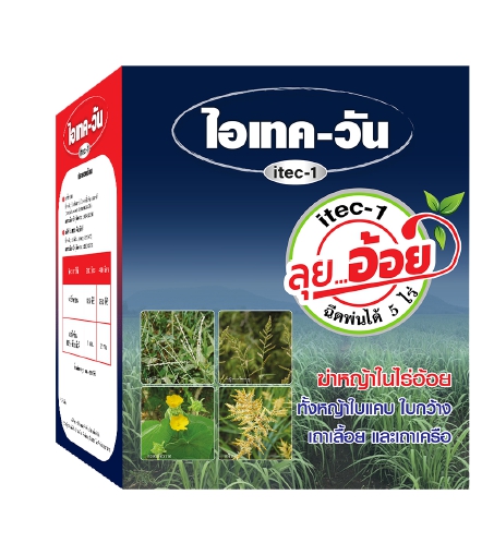 ลุยอ้อยไอเทค-วัน*8