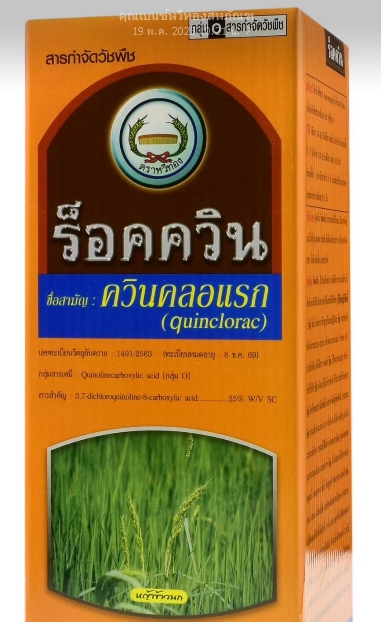 ร็อคควินหวีทอง500CC*12