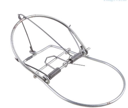 กับดักหนูแบบตี6"