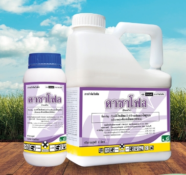 ดาซาโฟล1L*12