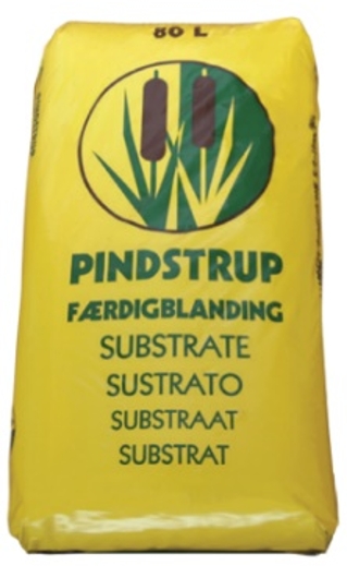 80/Lพีทมอสเหลือง เจียไต๋