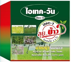 ลุยข้าวไอเทค-วัน*20